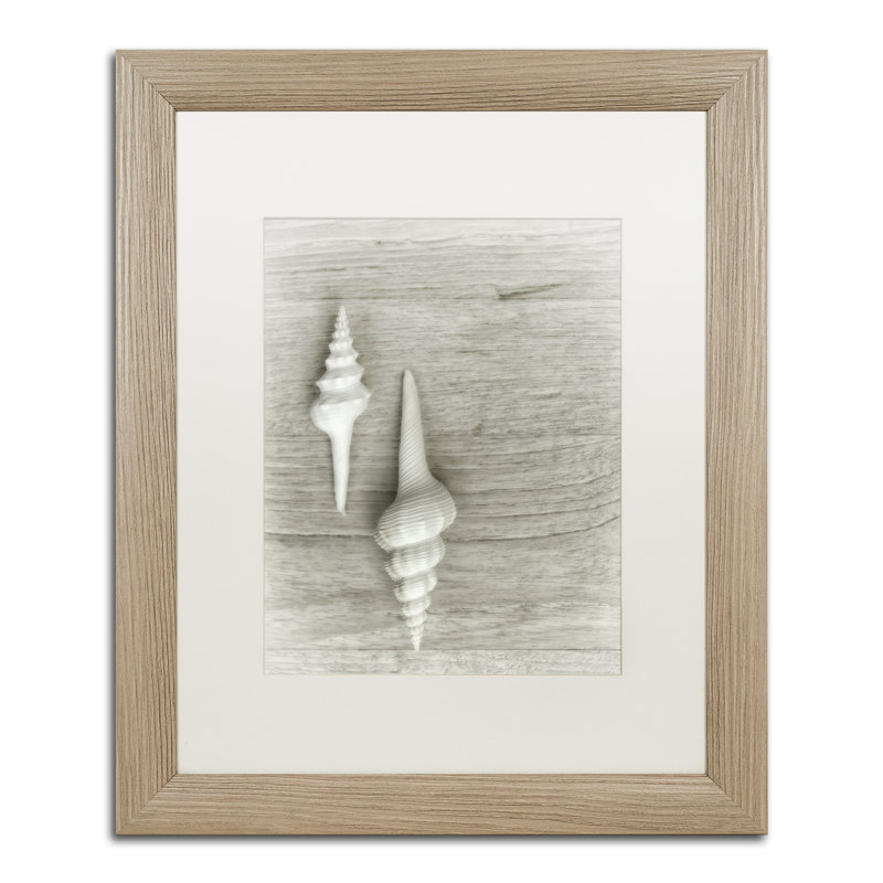 «Two White Shells», reproduction de photo encadrée, H 20 po x l 16 po x P 0,5 po, Noir
