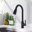 Moverlesenk Kitchen Faucet