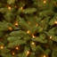Slender Green Realistic Artificial Fir Christmas Tree with Incandescent Steady/Constant Lights-415901227