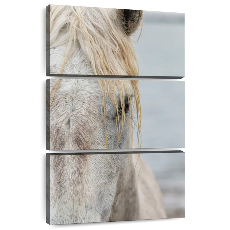 Ronce près d'un cheval blanc de Camargue II, H 38 po x l 24 po