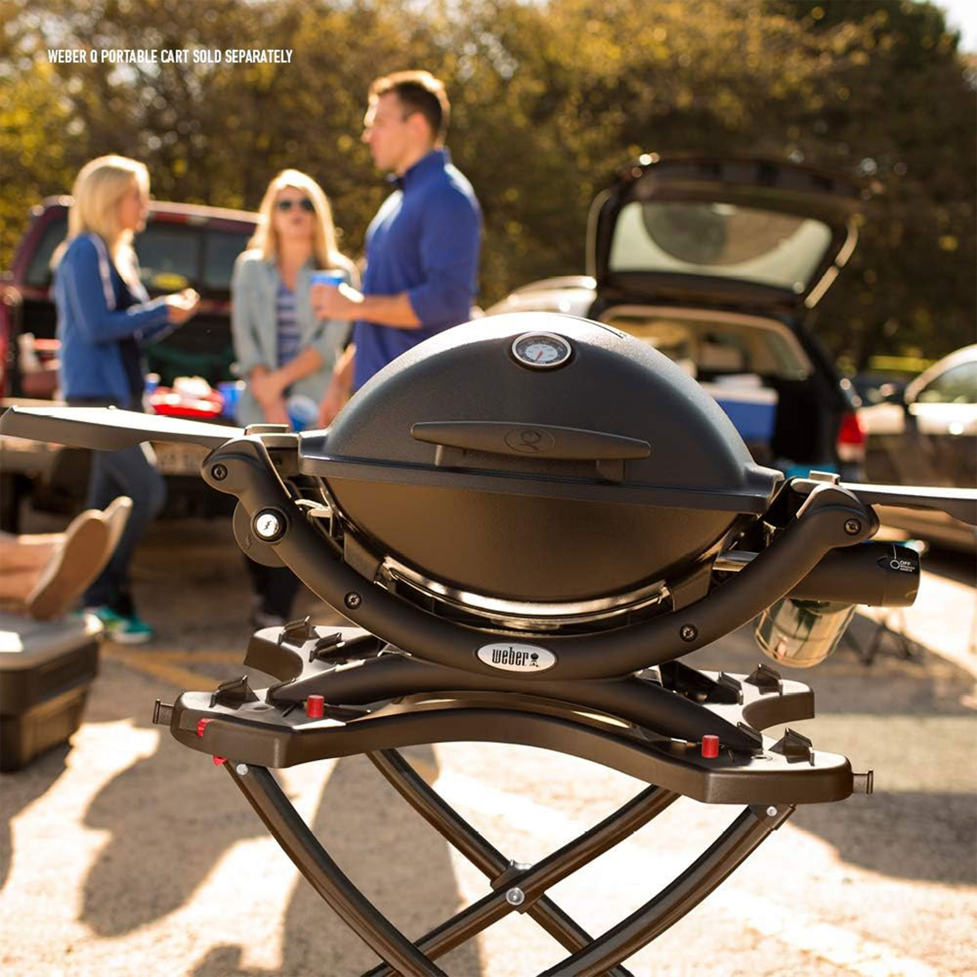 Weber Q® Series Q 1200, Black