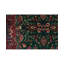 Jahan Wool Oriental Area Rug