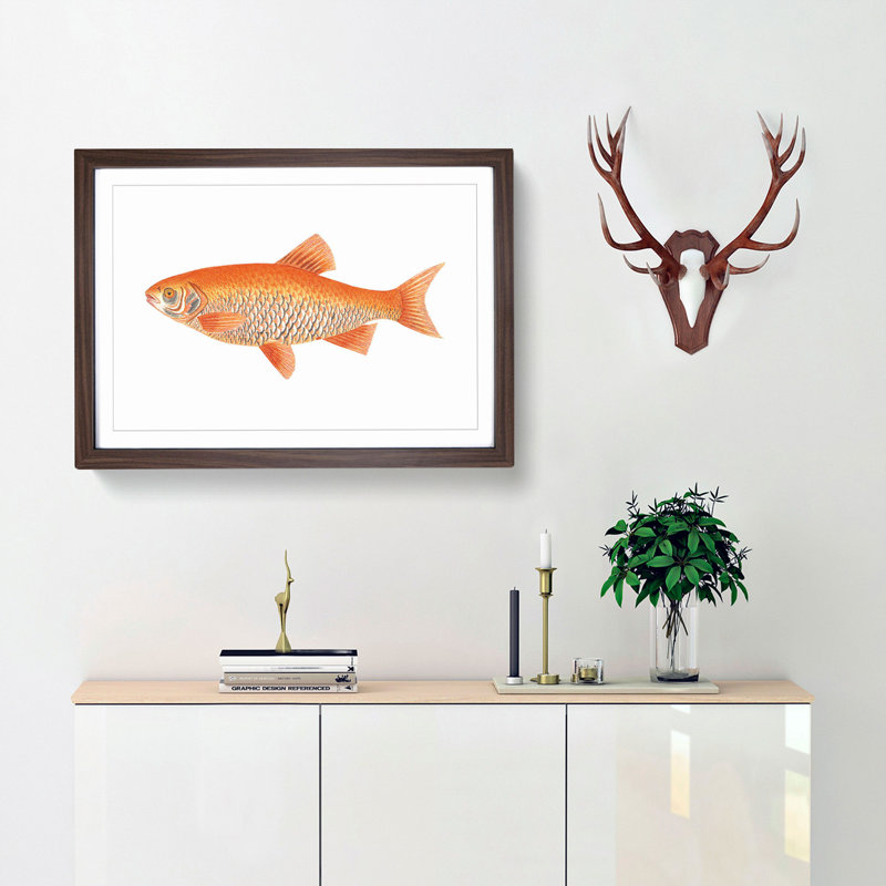 Orange Carp Fish by George Shaw - Picture Frame Painting Print, 27cm H x 36cm W x 2cm D, Walnut Framed