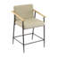 Tabouret de comptoir Mid-Century moderne avec structure en fer et accoudoirs en bois (ensemble de 2)-1976240991