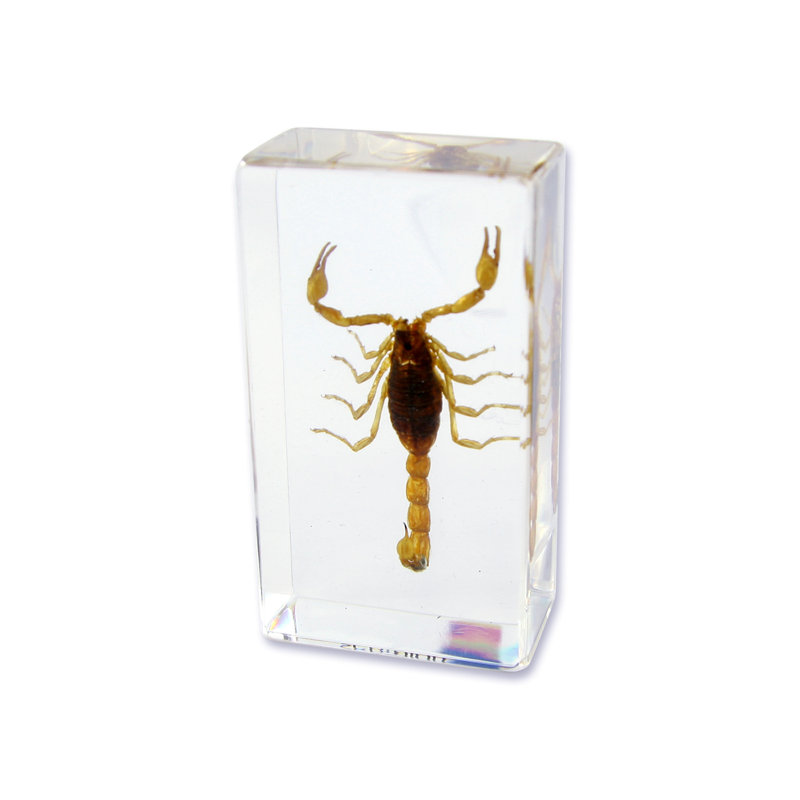 Presse-papier à Scorpion privette