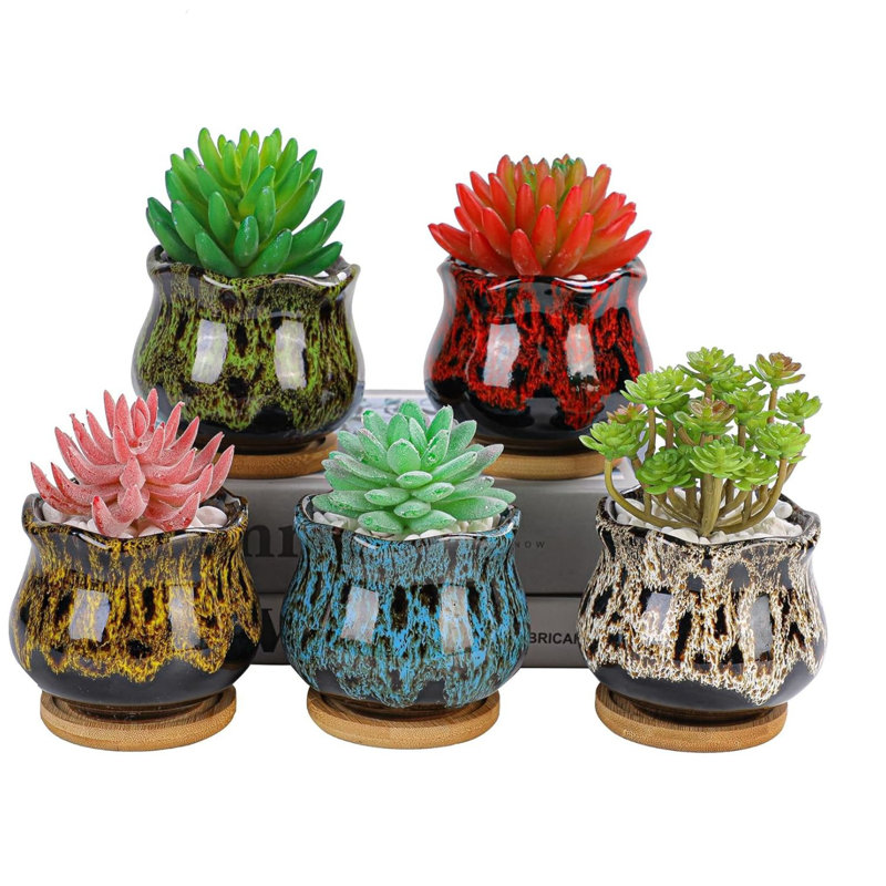 Fambe Ceramic Succulent Pots Set Of 5