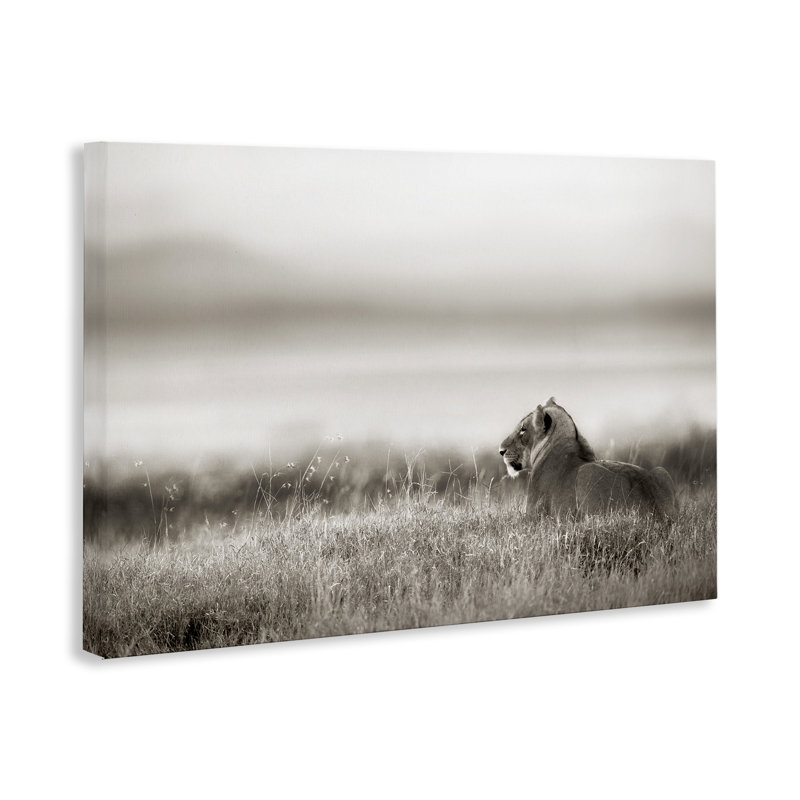 Art mural sur toile, "Resting lion in Savanna Grass", par Danita Delimont, 30" H x 45" W