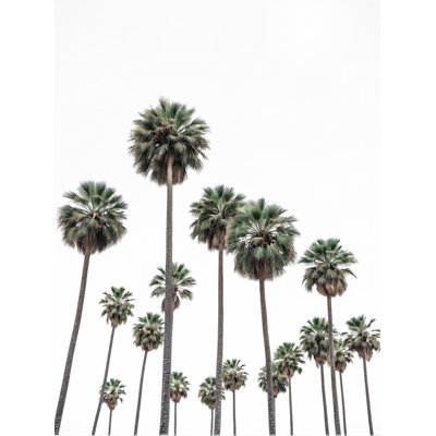 «Tall Tropical Palms» par Josie George - art mural paysage
