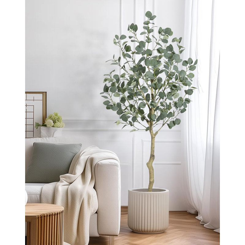 Eucalyptus artificiel avec feuilles de dollar argent