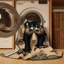  Tapis lavable Binturong-425157300