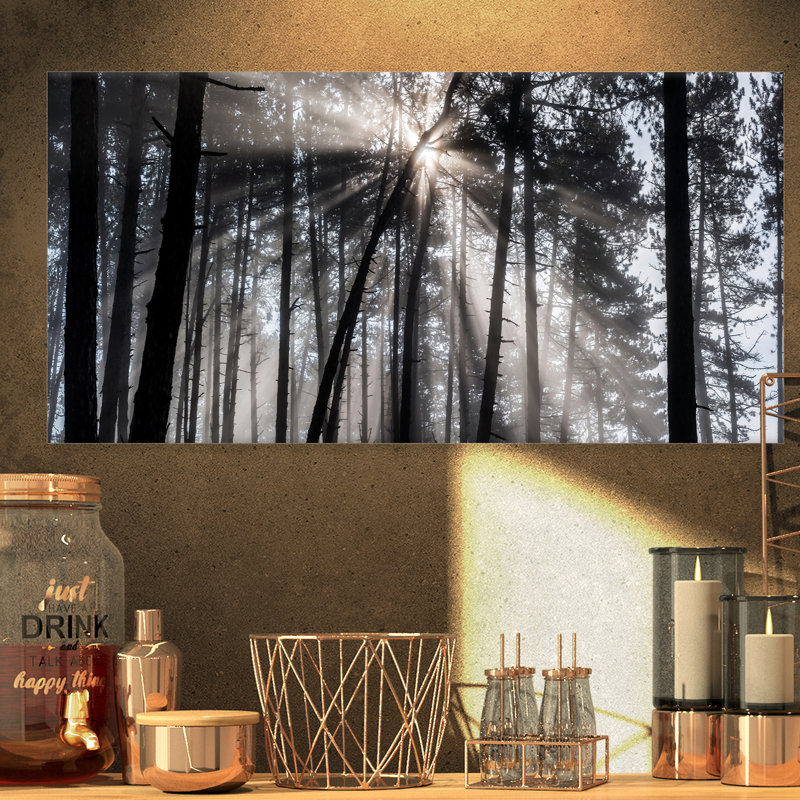 «Sunbeam Through Black White Forest», photographie, H 16 po x l 32 po x P 1 po, Toile avec cadre flottant