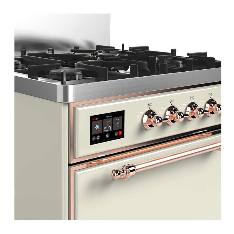 Majestic III Series 30 Inch Dual Fuel Range with 5 Sealed Burners in White (Liquid Propane, Burnished Trim), Antique White