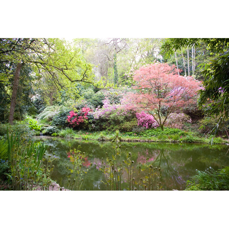 Blooming Trees In Nature by Tilo - Wrapped Canvas Print, 30cm H x 46cm W