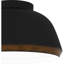 Phaidra 3-Light Matte Black Flush Mount Light