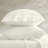 4 Pieces Sateen Sheet Set-119902059-119902052
