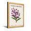 Plantes et fleurs, orchidée Vanda, fleurs mauves, feuilles, imprimé botanique-495057-495060-495059