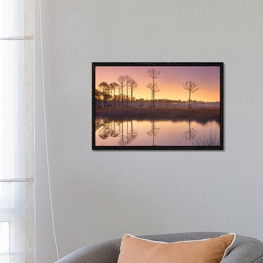 Pineland At Piney Point Near Hagen's Cove, Florida von Tim Fitzharris - Gallery-Wrapped Canvas Giclée