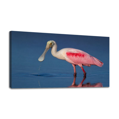 Canvas Wall Art roseate spoonbill against deep blue exotic bird Wall Decor for Living Room Bathroom Bedroom Office 24"H x 48"W Art Paintings, Ready to Hang