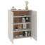 Shoe Storage Cabinet