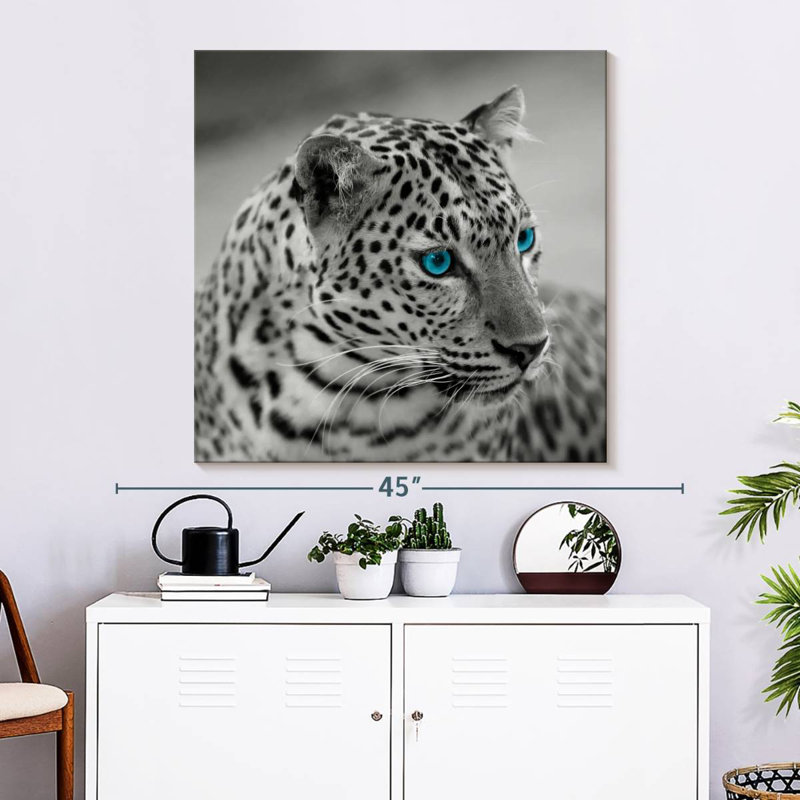 Crowle Jaguar Eye Pop