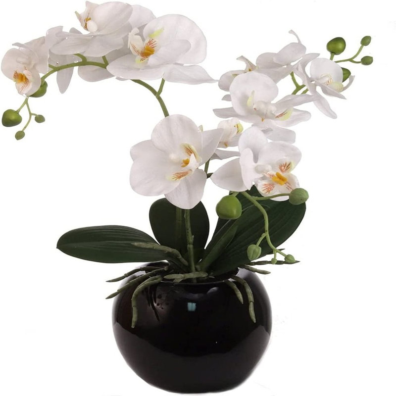 Arrangement floral orchidée en pot
