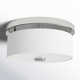 Flaire 2 Light Flush Mount
