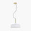 Bautz 1 - Light White/Gold Dome Pendant