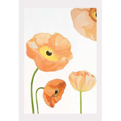 Peach Poppies On Snow Print