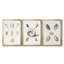 Pastel Knorr Shells I - Toile tendue avec châssis sur mesure - 3 pièces-183074272-183074273