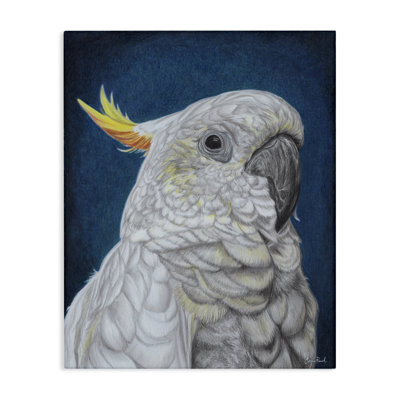 Art traditionnel sur toile, "Traditional Cockatoo Visage" par Connie Resch