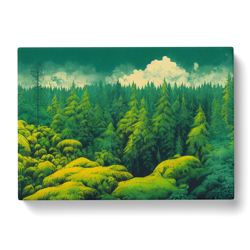 Amazing Forest - Wrapped Canvas Print, 40cm H x 60cm W x 3cm D