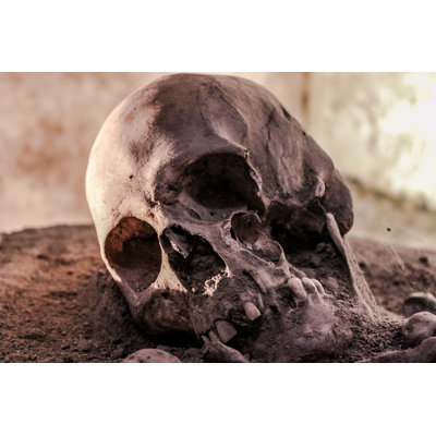 Hert " Skull "