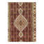 Oriental Area Rug in Red