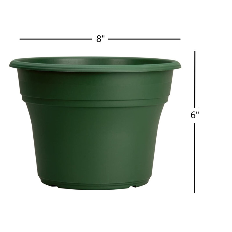 Pot Planter, 8" H x 8" W x 8" D