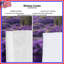 Rideaux de fenêtre Lavender-1221376599-1221376596