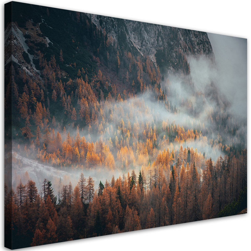 Landscape Forest In The Fog - Wrapped Canvas Print, 80cm H x 120cm W
