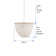 Lorsworth 3 - Light Seashell Dimmable Drum Chandelier