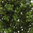 15 " H Faux Foliage Plant