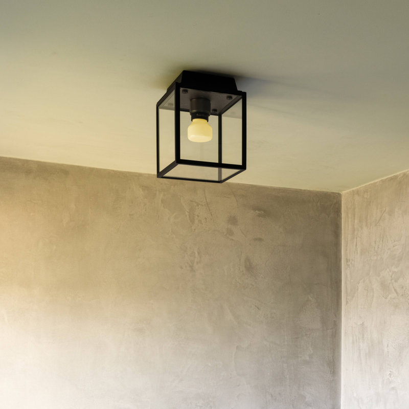 Cage humide / plafond / petit, Laiton / Noir