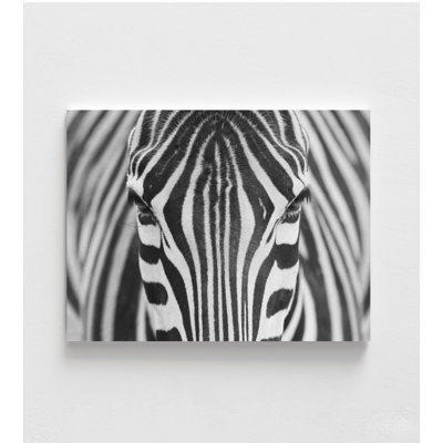 Étude de zèbre - Photographie de la faune en noir et blanc