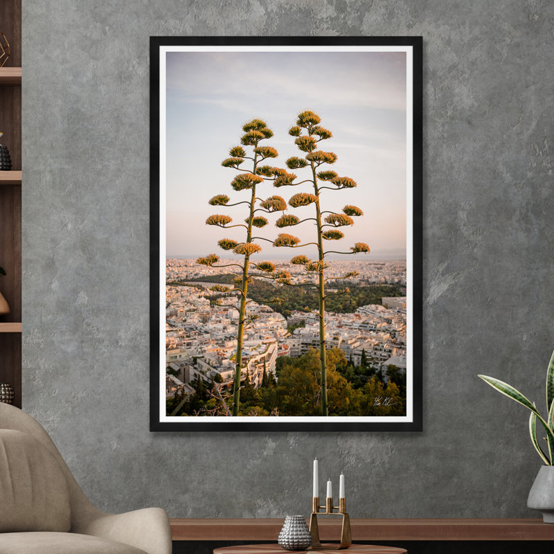 Agave sur les hauteurs d'Athènes II, Noir, H 54,75 po x l 37,5 po x P 1,5 po