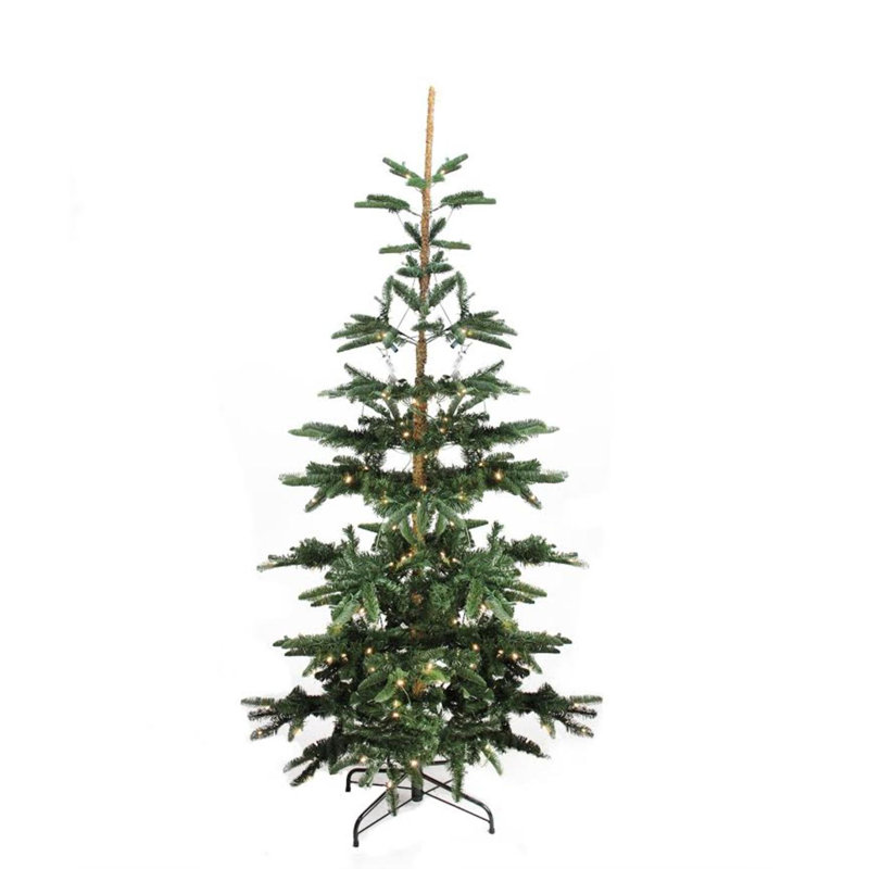 7.5' Green Fir Outdoor Christmas Tree with Warm LED Lights