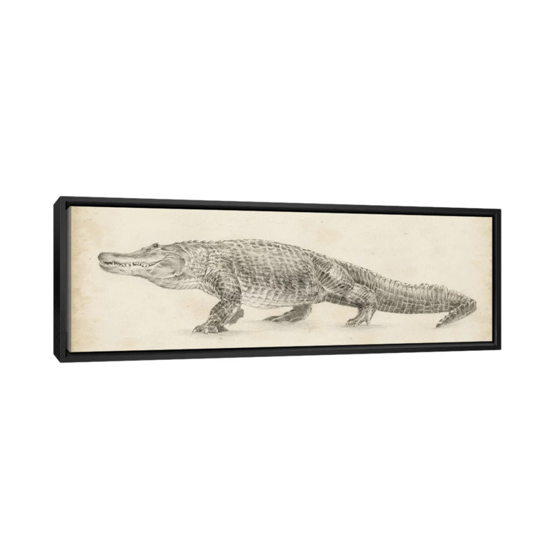 " Alligator Sketch " by Ethan Harper, Picture Framed Canvas, 16" H x 48" W, Black