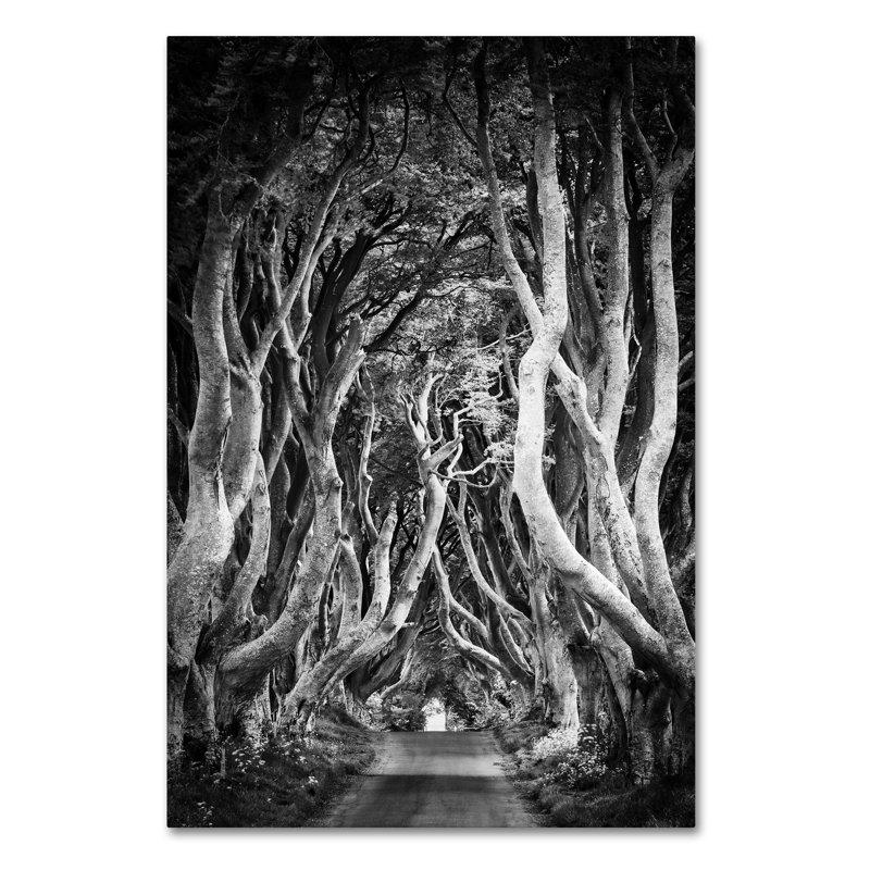 « zig zag nation », reproduction de photo sur toile tendue en noir/blanc, H 19 po x l 12 po x P 2 po