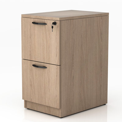 15.67'' Wide 2 -Drawer File Cabinet