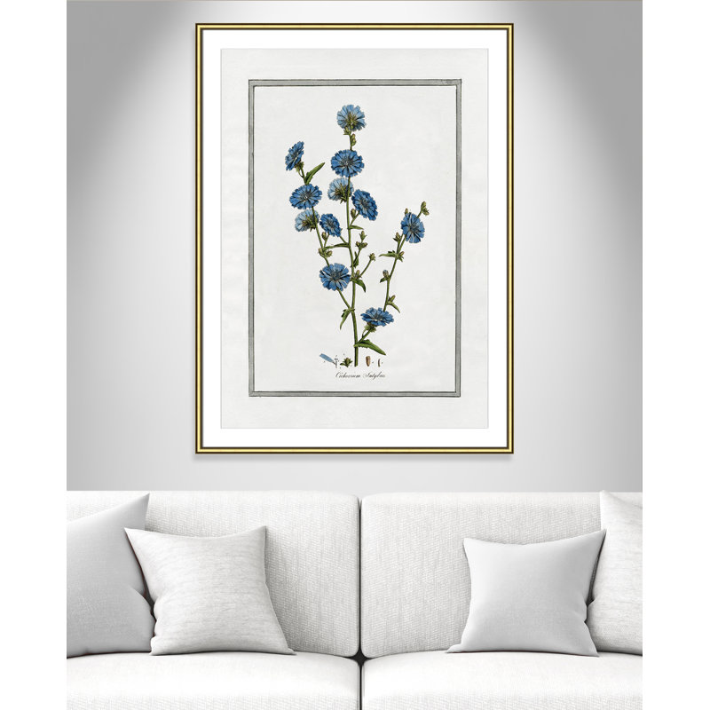 Colombe Soft Botanical I - Art encadré avec fond perdu, Cadre doré, L 30,75 po x H 42,75 po