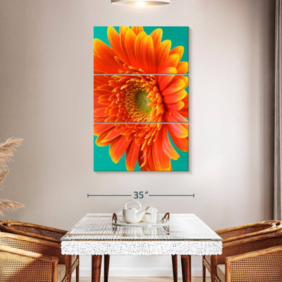 Harnek orange Gerbera Daisy II
