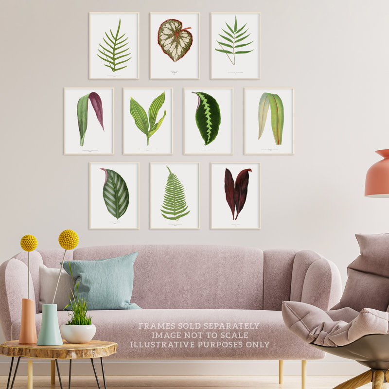 Bright Vintage Leaf Audubon Style Detailed Botanical Study - 10 Piece No Frame Print Set, 29.7cm H x 21 cm W x 0.4 cm D