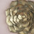 Succulent Wall Plaque