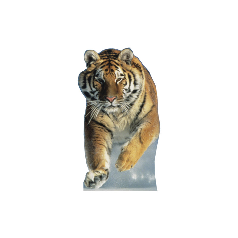 Animals 46'' Animals Cardboard Standup